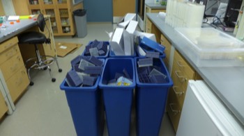  Trash from First Experiment 
